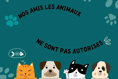 Animaux non autorisé