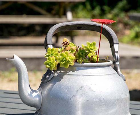 Terrain de pétanque