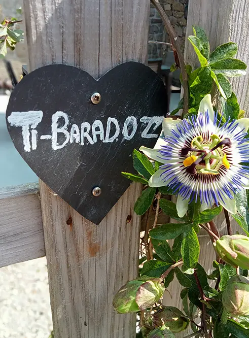 Terrasse et cour arrière du gîte